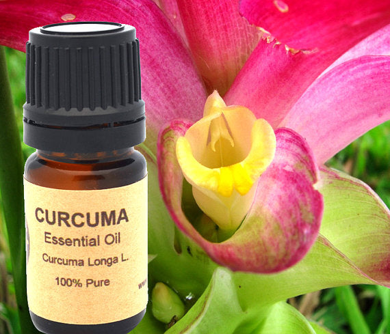 Turmeric Curcuma Essential Oil (10ml or 15 ml)