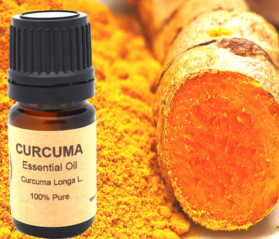 Turmeric Curcuma Essential Oil (10ml or 15 ml)